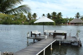 Paradiso Tropical