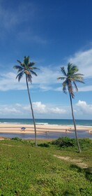 Areia Azul Aparts - Imbassai Ykutiba