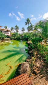 Areia Azul Aparts - Imbassai Ykutiba