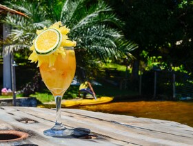 Pousada Bellatrix Ecolodge