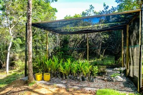 Pousada Bellatrix Ecolodge