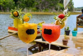 Pousada Bellatrix Ecolodge
