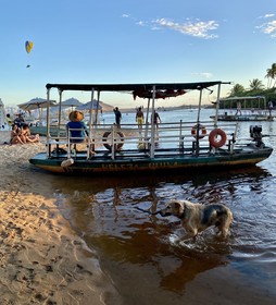 The Madalena