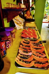 Pousada Papagaio