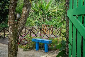 Saíra Recanto De Serra