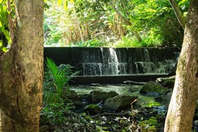 Saíra Recanto De Serra
