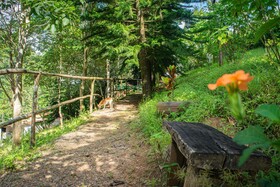 Saíra Recanto De Serra
