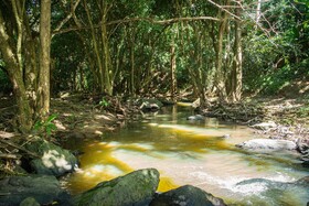 Saíra Recanto De Serra