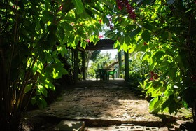 Saíra Recanto De Serra