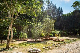 Saíra Recanto De Serra