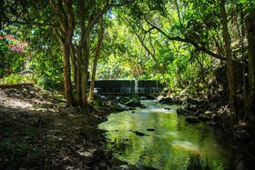 Saíra Recanto De Serra