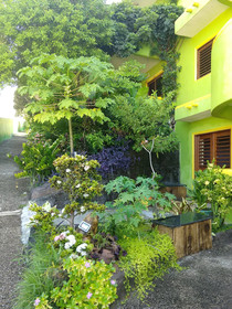 Bamboo Flat Apart Hotel Residence