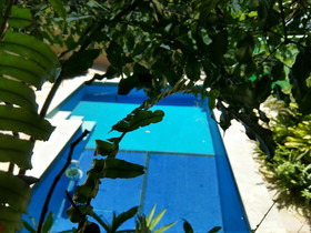 Bamboo Flat Apart Hotel Residence