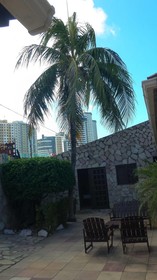 Castelo Beach Hotel