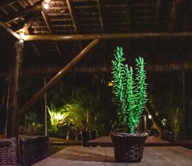 Espaço Viverde
