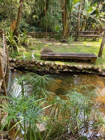 Espaço Viverde