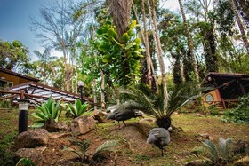 Espaço Viverde