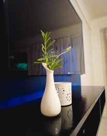 Espaço Viverde