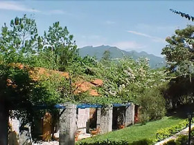 Hotel Bougainville