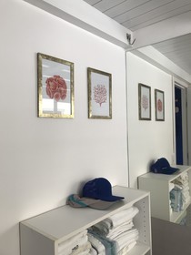Solar Água