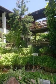 Aram Imirá Beach Resort