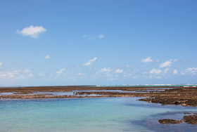 Vila Moa