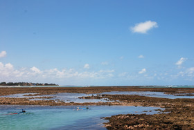 Vila Moa