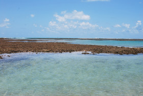 Vila Moa