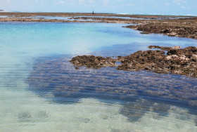 Vila Moa