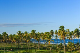 Viva Porto de Galinhas Resort