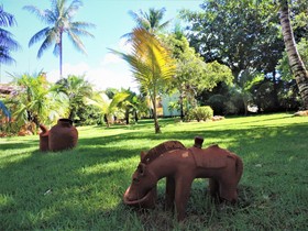Novo Sol Hotel