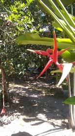 Camping & Pousada República Dos Camarões