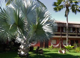 Hotel Pousada Saudosa Maloca