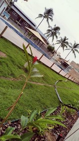 Porto Mar Hotel