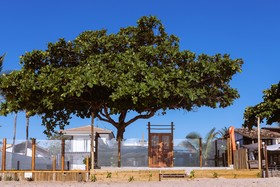 Santorini Beach Hotel