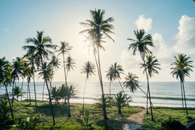 Iberostar Selection Praia do Forte