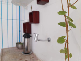 Zili Pernambuco Hostel & Coworking