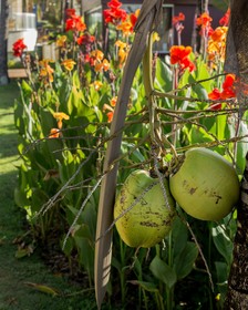 Casa Di Vina Boutique Hotel