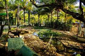Catussaba Resort Hotel