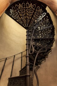 Fasano Salvador