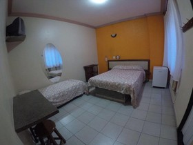 Hotel Fenix