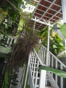 Hotel Pousada Papaya Verde