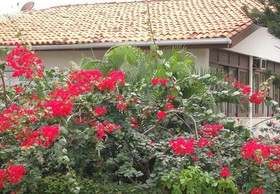 Mansion VillaVerde