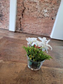 Pelourinho Boutique Hotel Oh Hoteis
