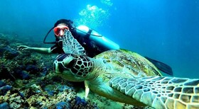 Pousada Barra Porto Rentals