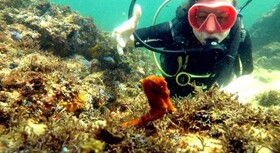 Pousada Barra Porto Rentals