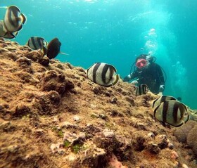 Pousada Barra Porto Rentals