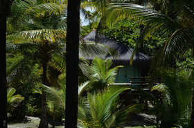 Aldeia da Mata Eco Lodge
