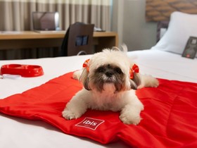 ibis Teresina