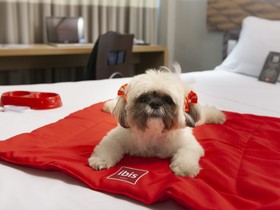ibis Teresina